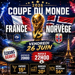 Match Coupe du Monde de Football France vs Norvège