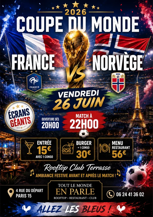 Retransmission match Football Coupe du Monde France Norvège